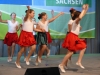 2013_messe-dresden_104